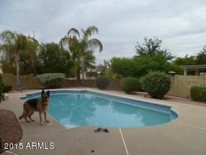 802 E Caribbean Ln, Phoenix, AZ 85022 photo 20
