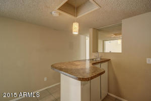 134 E Riviera Dr, Tempe, AZ 85282 photo 16