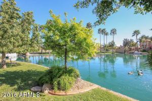 1009 W Peninsula Dr, Gilbert, AZ 85233 photo 50