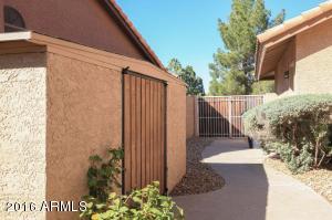 1009 W Peninsula Dr, Gilbert, AZ 85233 photo 55