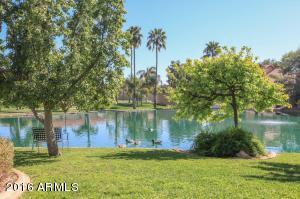 1009 W Peninsula Dr, Gilbert, AZ 85233 photo 48