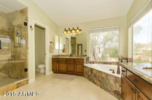 2456 E Sapium Way, Phoenix, AZ 85048 photo 20