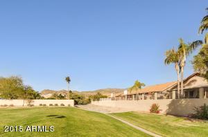 2456 E Sapium Way, Phoenix, AZ 85048 photo 38
