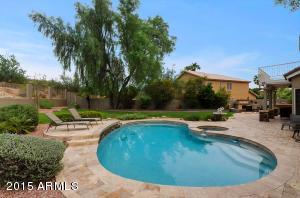 2456 E Sapium Way, Phoenix, AZ 85048 photo 34