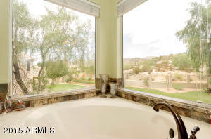 2456 E Sapium Way, Phoenix, AZ 85048 photo 19