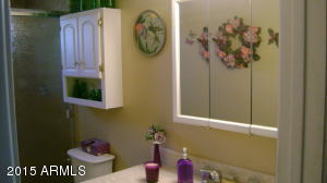 1549 S Lawther Dr, Apache Junction, AZ 85120 photo 8