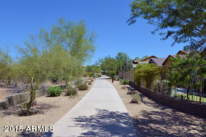 3750 E Matthew Dr, Phoenix, AZ 85050 photo 21
