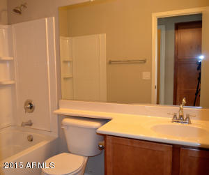 10298 N Primrose Ln, Florence, AZ 85132 photo 14