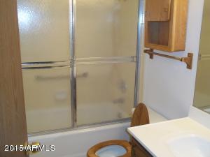 4328 E Capri Ave S #173, Mesa, AZ 85206 photo 9