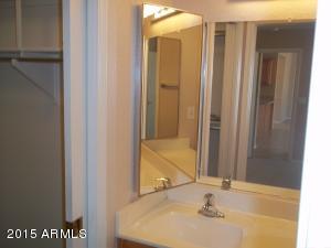11012 E Knowles Ave, Mesa, AZ 85209 photo 38