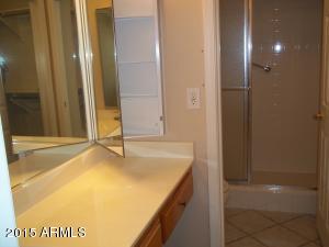 11012 E Knowles Ave, Mesa, AZ 85209 photo 39