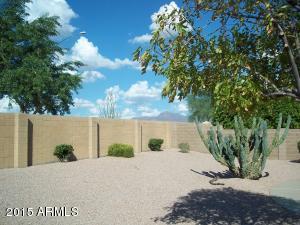 11012 E Knowles Ave, Mesa, AZ 85209 photo 49