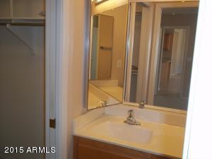 11012 E Knowles Ave, Mesa, AZ 85209 photo 40