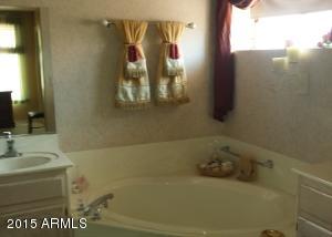 11018 E Lindner Ave, Mesa, AZ 85209 photo 14