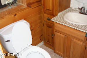 1116 N Tyrolean Dr, Payson, AZ 85541 photo 13