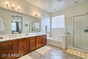4707 S Twinleaf Dr, Gilbert, AZ 85297 photo 18