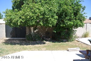 1924 E Colgate Dr, Tempe, AZ 85283 photo 21