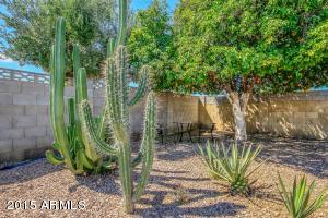 507 E Pegasus Dr, Tempe, AZ 85283 photo 27