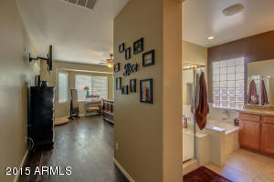 11336 E Starkey Ave, Mesa, AZ 85212 photo 33