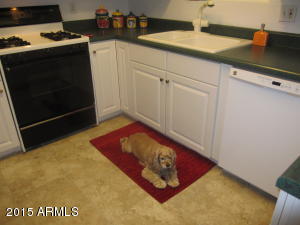 2301 E Karen Dr, Phoenix, AZ 85022 photo 43