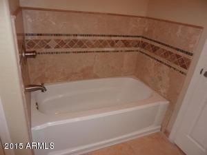 4009 E Flower Ave, Mesa, AZ 85206 photo 23