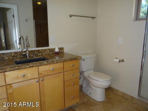 4009 E Flower Ave, Mesa, AZ 85206 photo 59