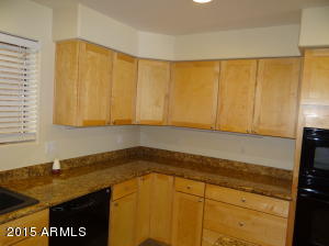 4009 E Flower Ave, Mesa, AZ 85206 photo 31