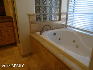 4009 E Flower Ave, Mesa, AZ 85206 photo 35
