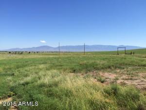22610 S Sunset Loop, Willcox, AZ 85643 photo 6