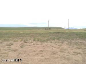 22610 S Sunset Loop, Willcox, AZ 85643 photo 44