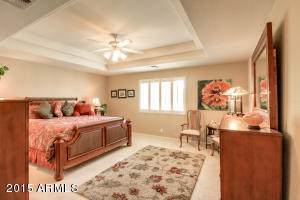 11029 E Kilarea Ave, Mesa, AZ 85209 photo 27