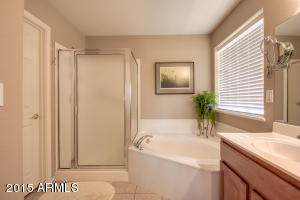 11029 E Kilarea Ave, Mesa, AZ 85209 photo 34
