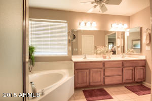 11029 E Kilarea Ave, Mesa, AZ 85209 photo 35
