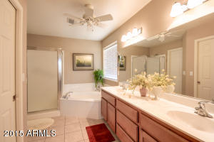 11029 E Kilarea Ave, Mesa, AZ 85209 photo 33