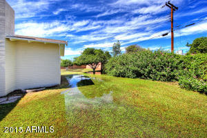 1356 E 2nd Pl, Mesa, AZ 85203 photo 23