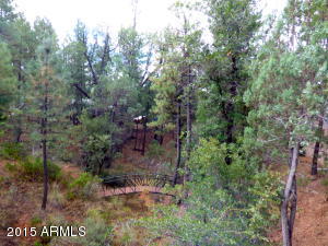 5333 N Judy Ln, Pine, AZ 85544 photo 20