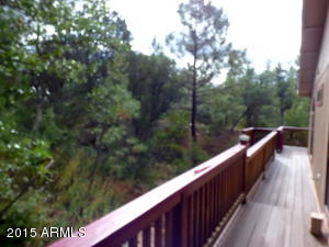 5333 N Judy Ln, Pine, AZ 85544 photo 23