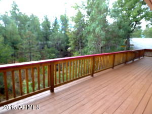 5333 N Judy Ln, Pine, AZ 85544 photo 16