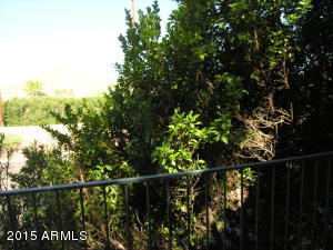 4955 E Indian School Rd #7, Phoenix, AZ 85018 photo 28