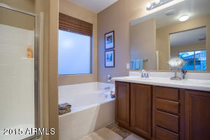 3941 E Geronimo St, Gilbert, AZ 85295 photo 23