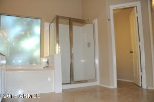 908 N Swallow Ln, Gilbert, AZ 85234 photo 13