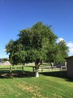 765 E Morgan Dr, Gilbert, AZ 85295 photo 5