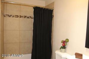 6809 S Willow Dr, Tempe, AZ 85283 photo 19