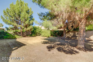 1425 S Silverado St, Gilbert, AZ 85296 photo 30