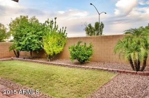 9808 E Knowles Ave, Mesa, AZ 85209 photo 17