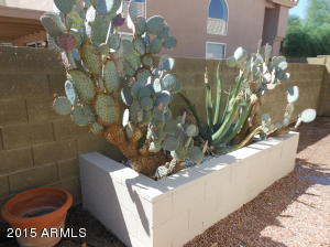 12809 S 46th St, Phoenix, AZ 85044 photo 42