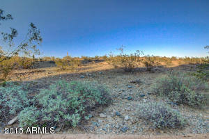 2132 E Sapium Way, Phoenix, AZ 85048 photo 48