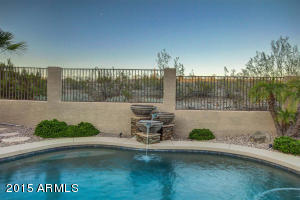2132 E Sapium Way, Phoenix, AZ 85048 photo 61