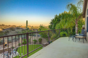 2132 E Sapium Way, Phoenix, AZ 85048 photo 56