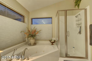 2132 E Sapium Way, Phoenix, AZ 85048 photo 31